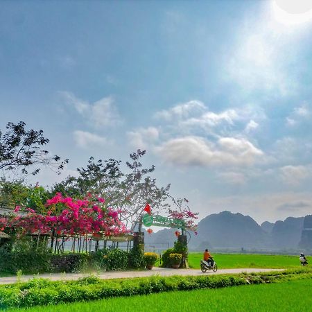 Jungle Boss Travel Lodge Phong Nha Eksteriør billede
