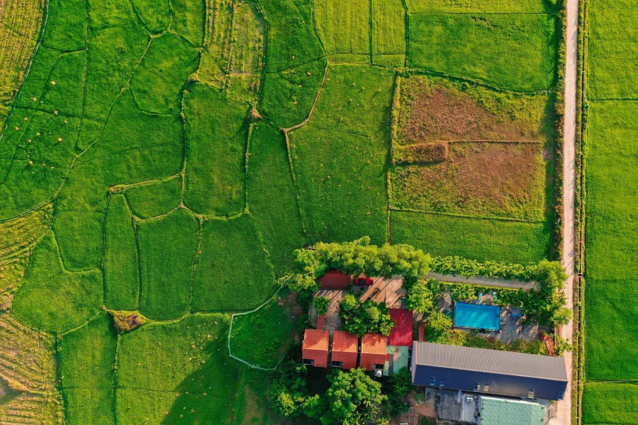 Jungle Boss Travel Lodge Phong Nha Eksteriør billede