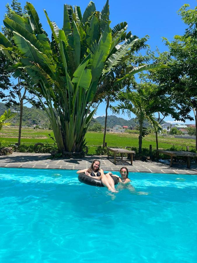 Jungle Boss Travel Lodge Phong Nha Eksteriør billede