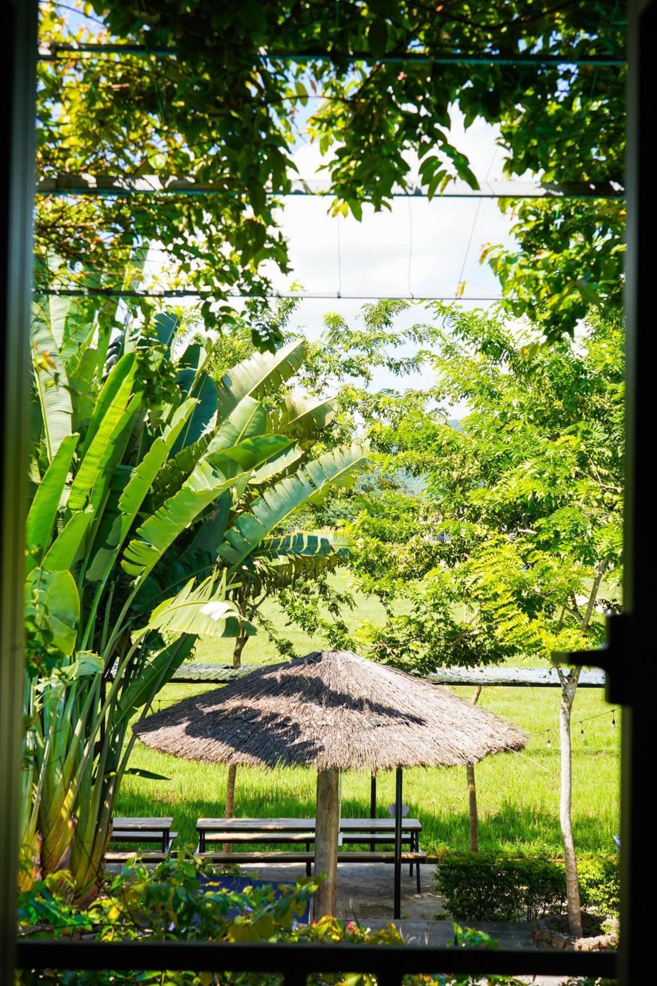 Jungle Boss Travel Lodge Phong Nha Eksteriør billede